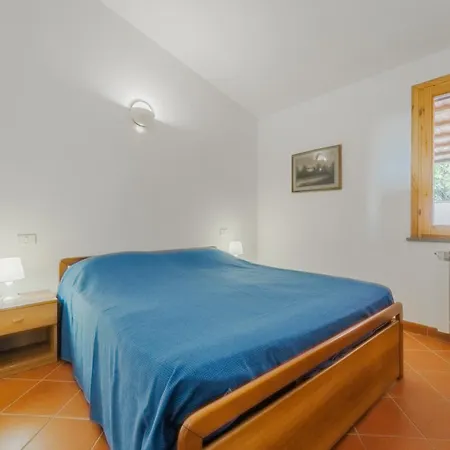 Norsi كابوليفيري