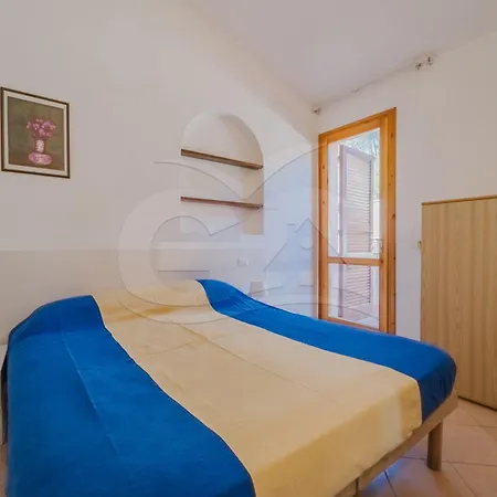 Norsi * كابوليفيري