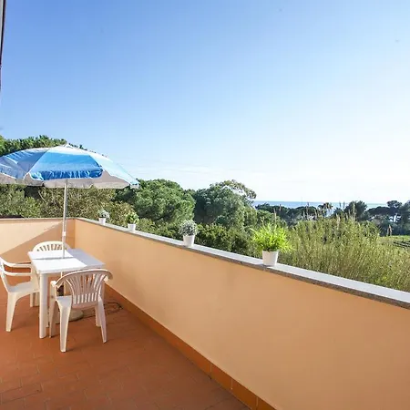 Norsi كابوليفيري